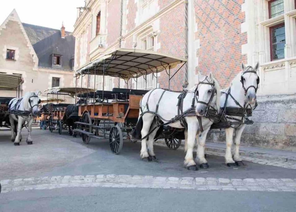 Petite Maison Avec Clim Blois Extérieur photo