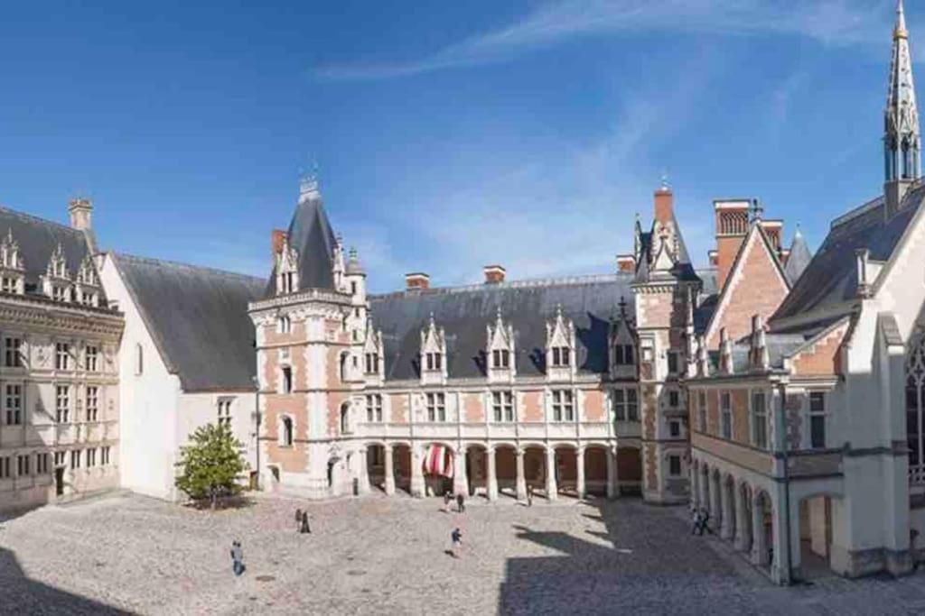 Petite Maison Avec Clim Blois Extérieur photo